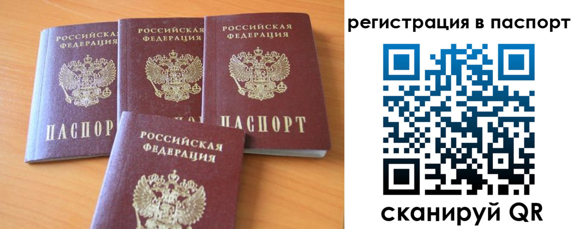 прописка гарантия в Павловске