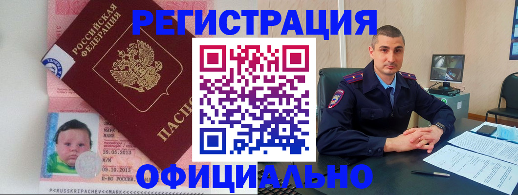 прописка поиск в Павловске